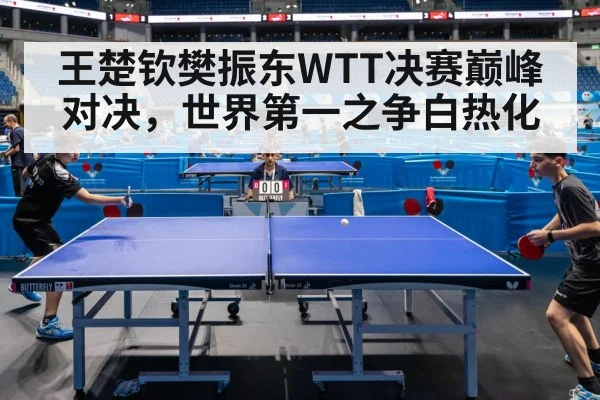 王楚钦樊振东WTT决赛巅峰对决，世界第一之争白热化