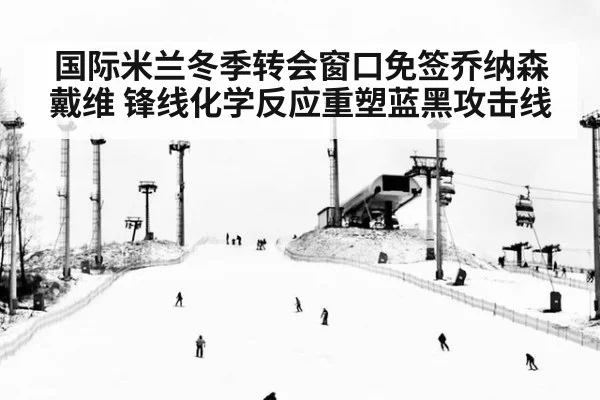 国际米兰冬季转会窗口免签乔纳森戴维 锋线化学反应重塑蓝黑攻击线